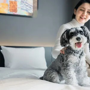 ホテル Anddoggy Nijo